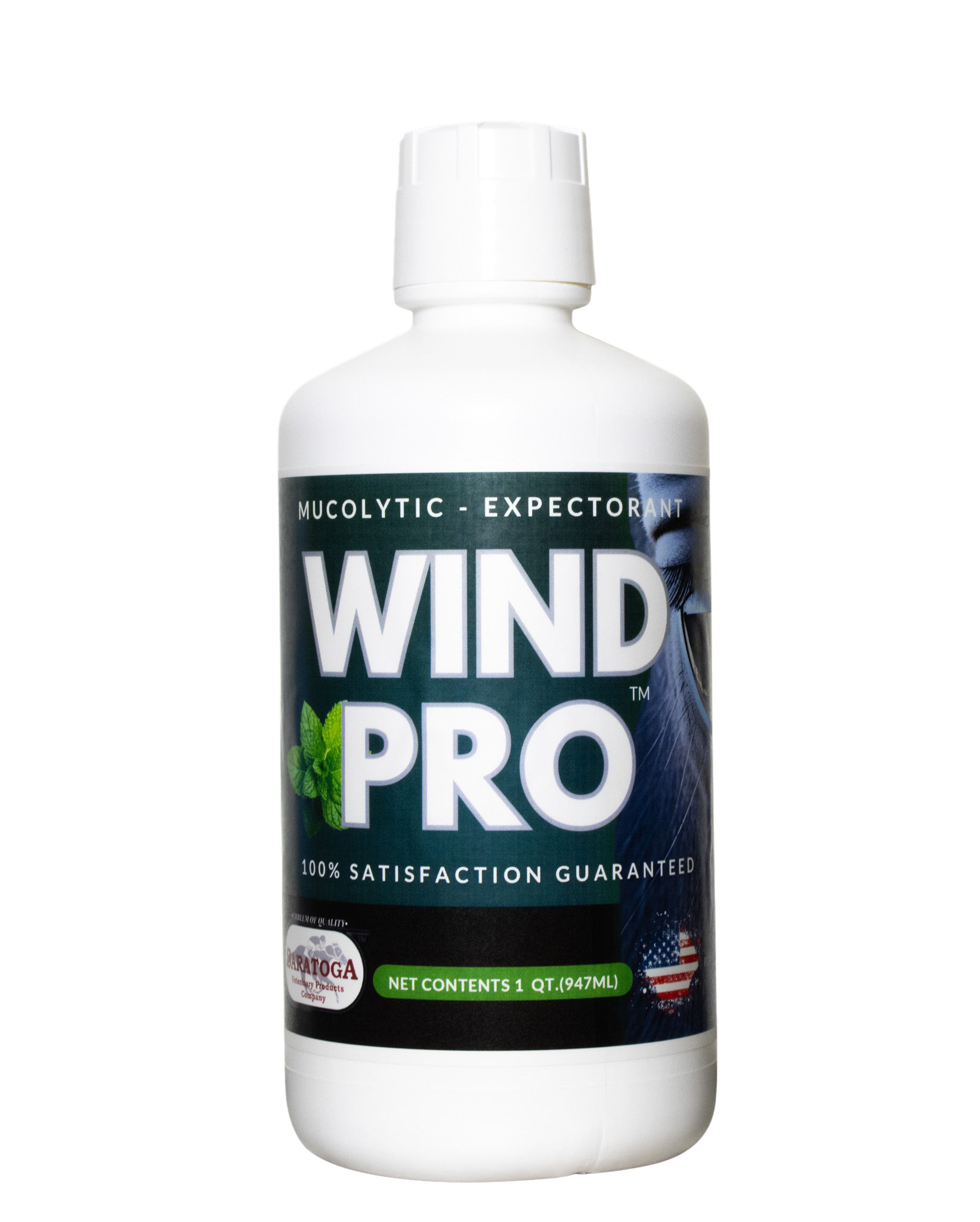 Wind Pro