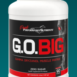 G.O. BIG