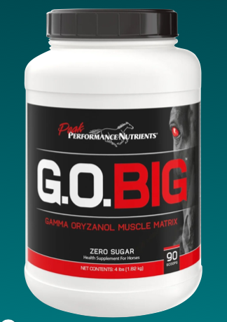 G.O. BIG